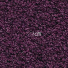 Ковролин Balsan Les First Les First 881 фото 1 | FLOORDEALER