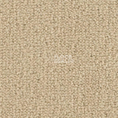 Ковролин Balsan Les Best 625 фото 1 | FLOORDEALER