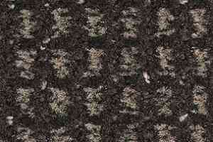 Ковролин Balsan Littoral Littoral 790 фото  | FLOORDEALER