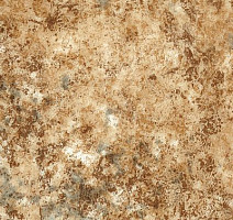 Линолеум Novoflor Standard 3100_10 фото 1 | FLOORDEALER