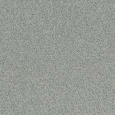 Desso Palatino 4000 фото 1 | FLOORDEALER