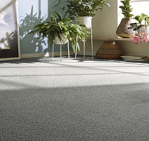 Vorwerk Essential 1008 Vorwerk 9f13 фото 4 | FLOORDEALER