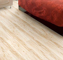 Corkstyle Wood MAPLE фото 2 | FLOORDEALER