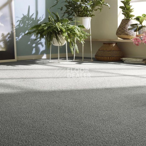 Vorwerk Essential 1008 Vorwerk 9f13 фото 4 | FLOORDEALER