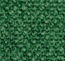 Ковролин Carpet Concept Eco Cut 30002 фото 1 | FLOORDEALER