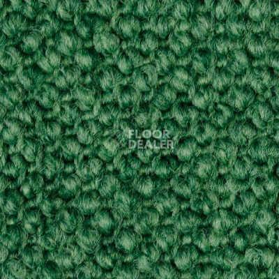 Ковролин Carpet Concept Eco Cut 30002 фото 1 | FLOORDEALER