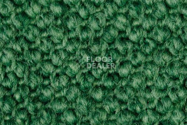 Ковролин Carpet Concept Eco Cut 30002 фото 1 | FLOORDEALER