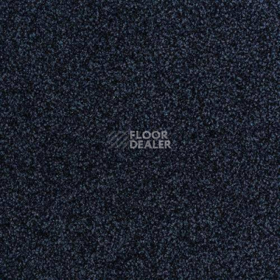 Ковровая плитка Desso Torso 9012 фото 1 | FLOORDEALER