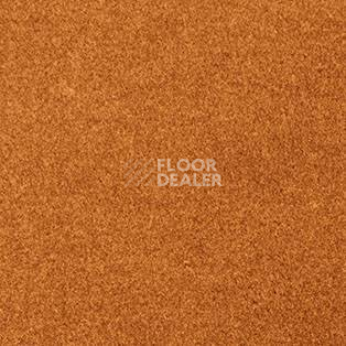 Ковролин AW The Velvet Oinone 84 фото 1 | FLOORDEALER