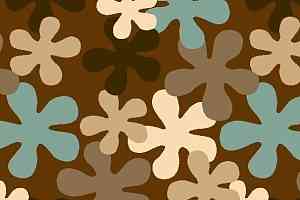 Ковролин Big Carus BS 001-22507 фото  | FLOORDEALER