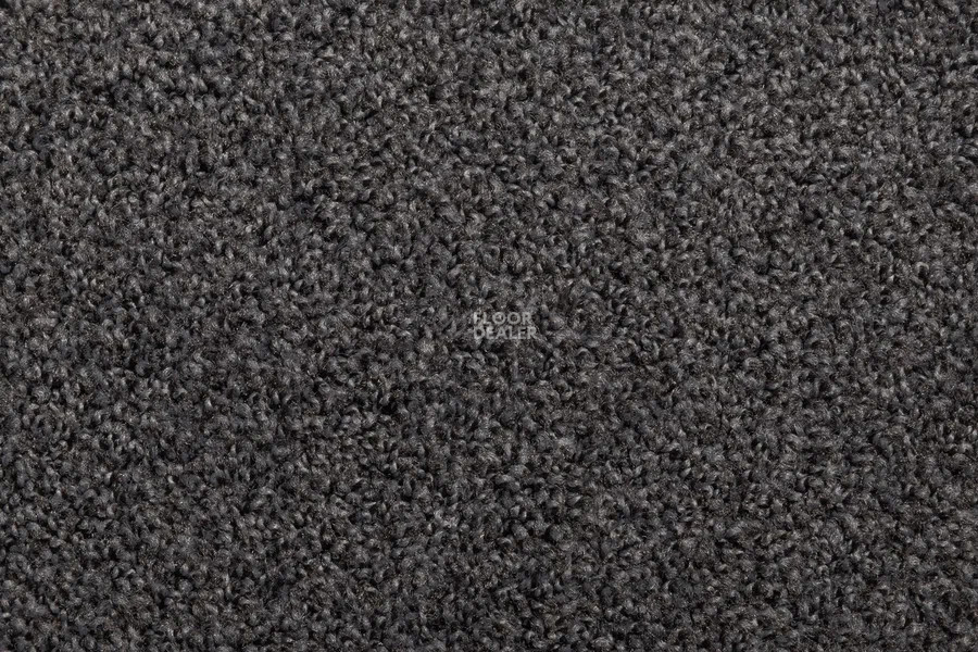 Vorwerk Exclusive1009/Elara 9e05 фото 2 | FLOORDEALER