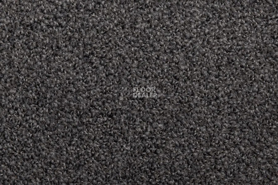 Vorwerk Exclusive1009/Elara 9e05 фото 2 | FLOORDEALER