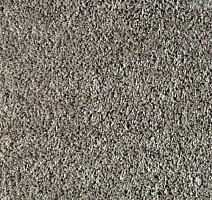 Ковролин Зартекс Euphoria Euphoria 900 Серый фото 1 | FLOORDEALER