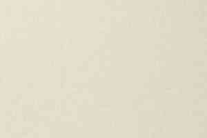 Ковролин Vorwerk Passion 1000/Modena Vorwerk 6c54 фото  | FLOORDEALER