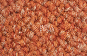 Forbo Tessera Chroma 3625 Calypso фото 3 | FLOORDEALER