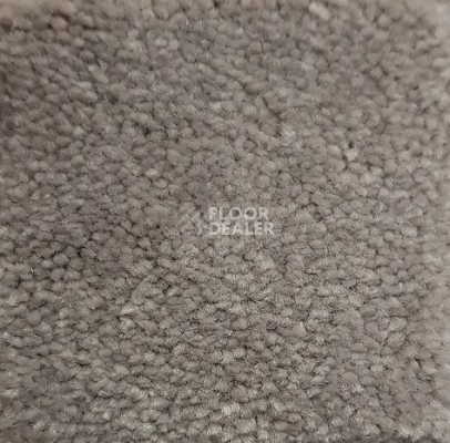 Ковролин Condor Carpets Chablis 115 фото 1 | FLOORDEALER