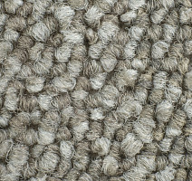 Desso Desert 2915 фото 3 | FLOORDEALER