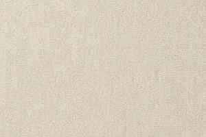 Ковролин Vorwerk Passion 1002 Vorwerk 6b70 фото  | FLOORDEALER