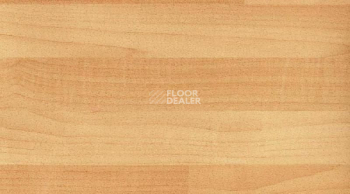 Линолеум Recreation 45 Wood 6062_Canadian_Maple фото 1 | FLOORDEALER