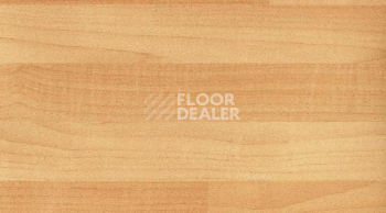 Линолеум Gerflor Recreation 45 Wood 6062_Canadian_Maple фото 1 | FLOORDEALER