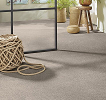 Vorwerk Superior 1065/Viola Vorwerk 5x89 фото 2 | FLOORDEALER