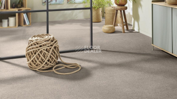 Vorwerk Superior 1065/Viola Vorwerk 5x89 фото 2 | FLOORDEALER