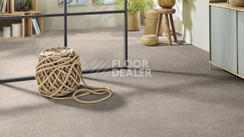 Vorwerk Superior 1065/Viola Vorwerk 5x89 фото 2 | FLOORDEALER