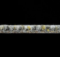 Desso Shape ac 74 6324 v фото 5 | FLOORDEALER