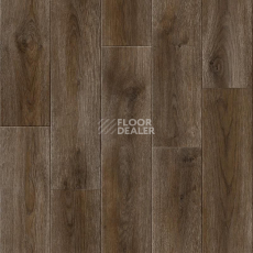 Линолеум Tarkett Absolut LUIS 4 фото 1 | FLOORDEALER