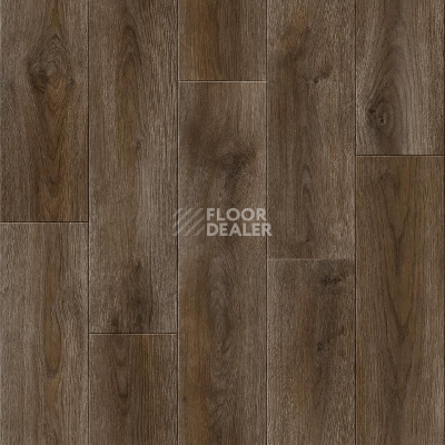 Линолеум Tarkett Absolut LUIS 4 фото 1 | FLOORDEALER