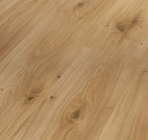 Ламинат Parador Basic Plus 200 V 1594001 Дуб Горизонт фото 1 | FLOORDEALER