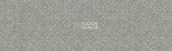 Линолеум Tarkett Delta SPRAY6 фото 1 | FLOORDEALER