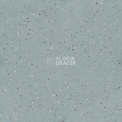 Линолеум Tarkett iQ Lyra 506 фото 1 | FLOORDEALER