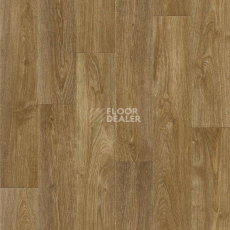 Линолеум Tarkett ENERGY FARADEY 2 фото 1 | FLOORDEALER