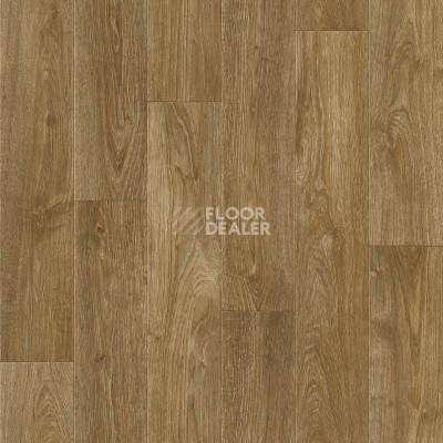 Линолеум Tarkett ENERGY FARADEY 2 фото 1 | FLOORDEALER