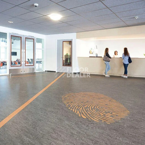 Forbo Marmoleum Marbled Real 3048 / 304835 / 33048 / 73048 Graphite фото 2 | FLOORDEALER