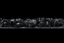 Forbo Coral Luxe 2910 Onyx фото 3 | FLOORDEALER