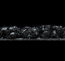 Forbo Coral Luxe 2910 Onyx фото 3 | FLOORDEALER