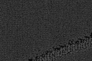 Ковролин Balsan Pavillon 960 фото  | FLOORDEALER