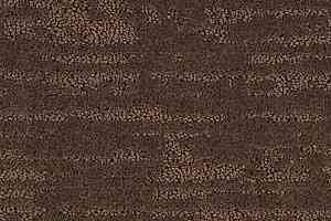 Ковролин Territoires Sierra 691 фото  | FLOORDEALER