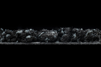 Forbo Coral Luxe 2910 Onyx фото 3 | FLOORDEALER