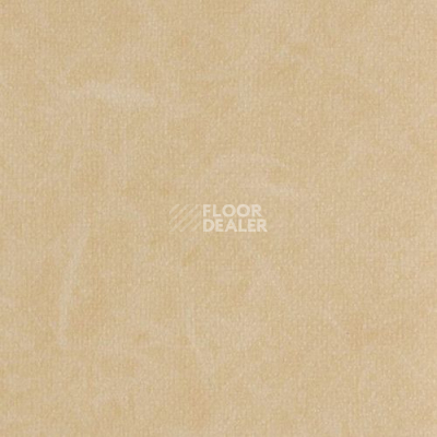 Линолеум Grabo Silver Knight Fitness 455_753_279 фото 1 | FLOORDEALER