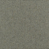 Ковролин Carpet Concept Goi 2 2601 фото 1 | FLOORDEALER
