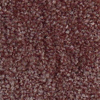 Ковролин Serene Beaulieu of America 04 фото 1 | FLOORDEALER