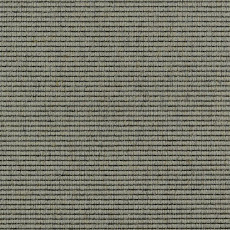 Ковролин Carpet Concept Goi 2 2601 фото 1 | FLOORDEALER