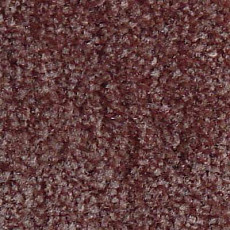 Ковролин Serene Beaulieu of America 04 фото 1 | FLOORDEALER