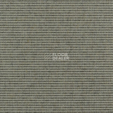 Ковролин Carpet Concept Goi 2 2601 фото 1 | FLOORDEALER