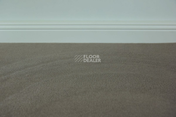 Ковролин Vorwerk Modena 5b48 фото 1 | FLOORDEALER