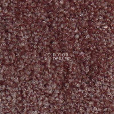 Ковролин Serene Beaulieu of America 04 фото 1 | FLOORDEALER