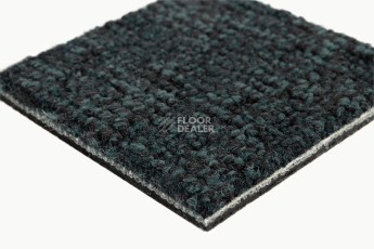 IVC Animate 699 фото 6 | FLOORDEALER